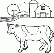 Coloring pictures of cow